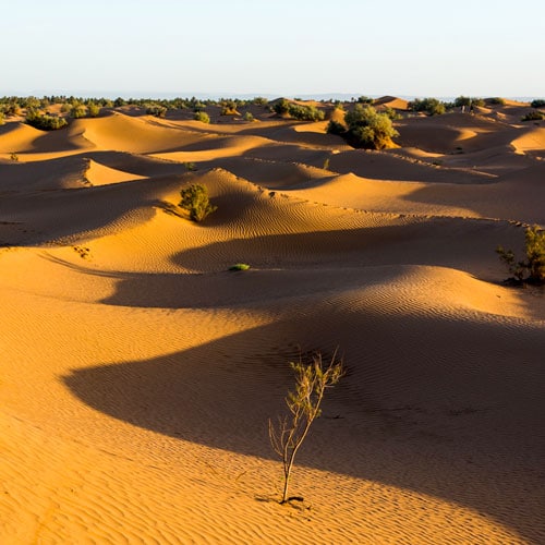 our the Hamada of Draa and see the dunes of Erg Chigaga, take in the local lifestyles, and revel in an extraordinary desert experience.