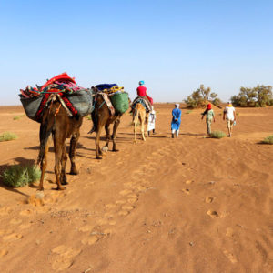 A camel trek through the desert starting in M'Hamid, Morocco.