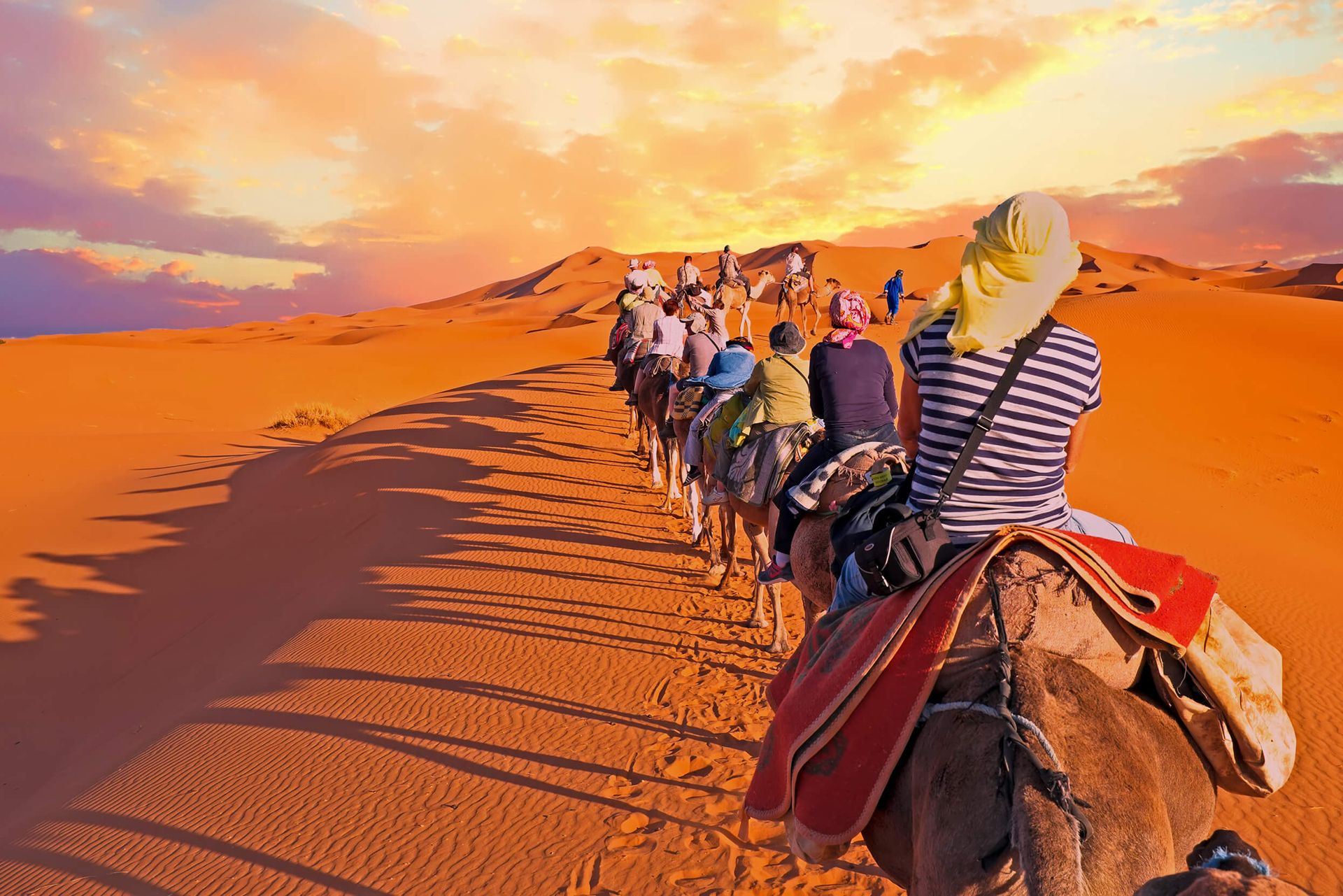 explore sahara tours